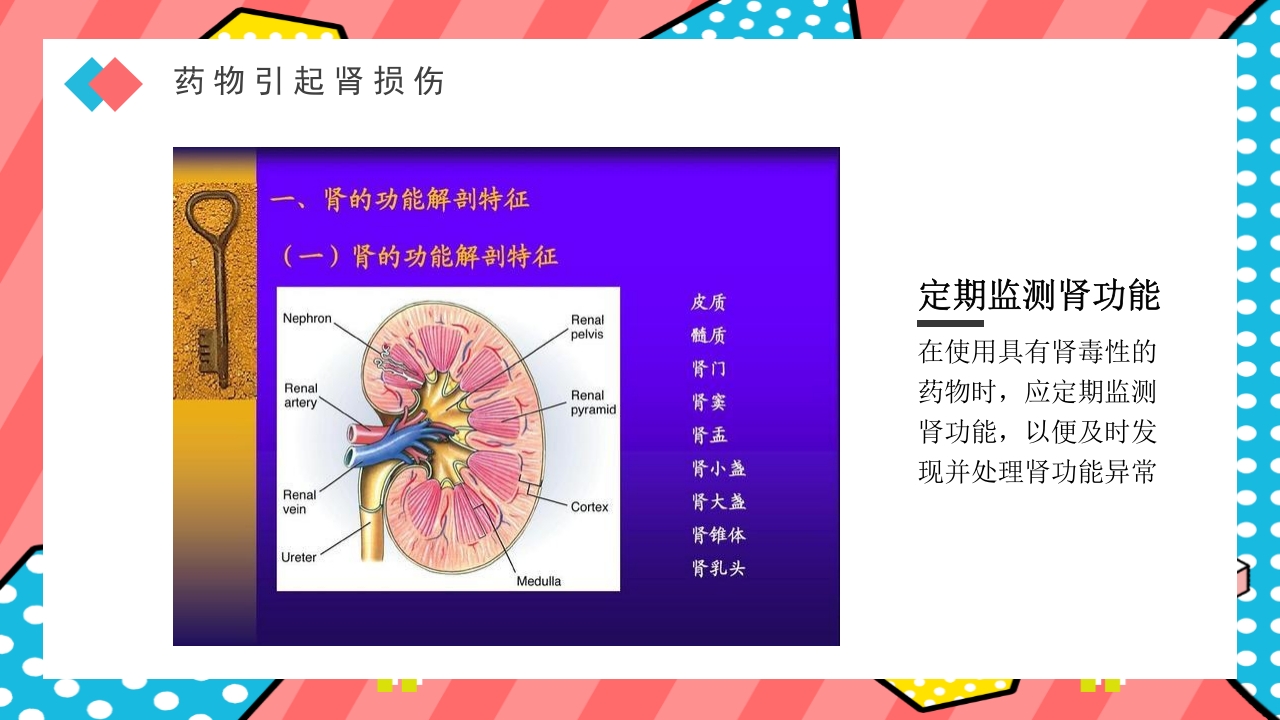 药物引起肾损伤PPT课件下载15