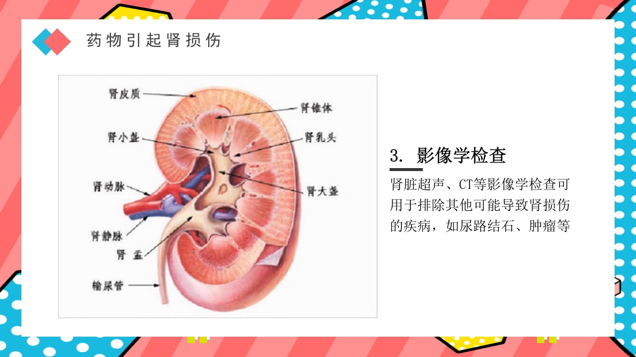 药物引起肾损伤PPT课件下载34