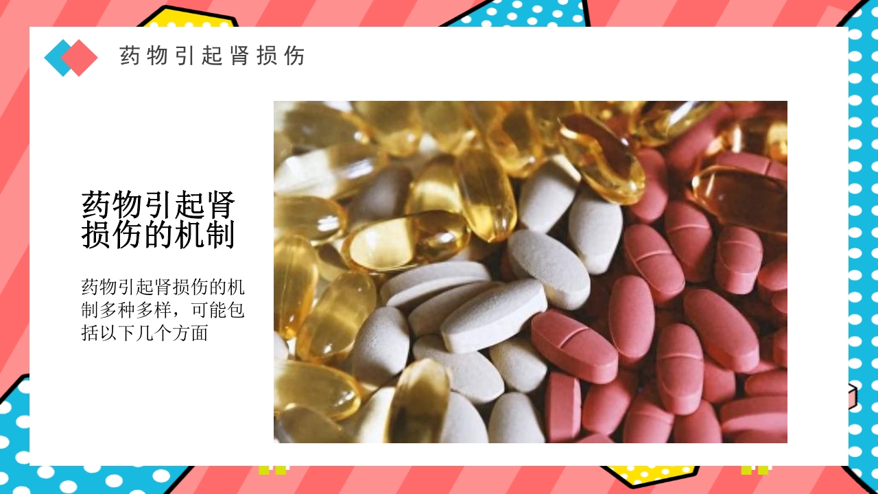 药物引起肾损伤PPT课件下载4
