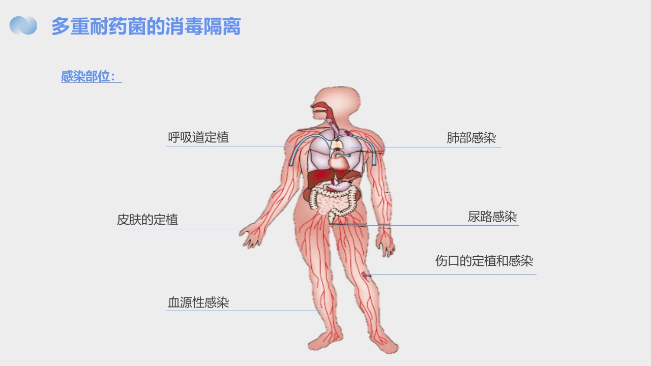 手卫生手卫生与多重耐药菌的消毒隔离PPT课件18