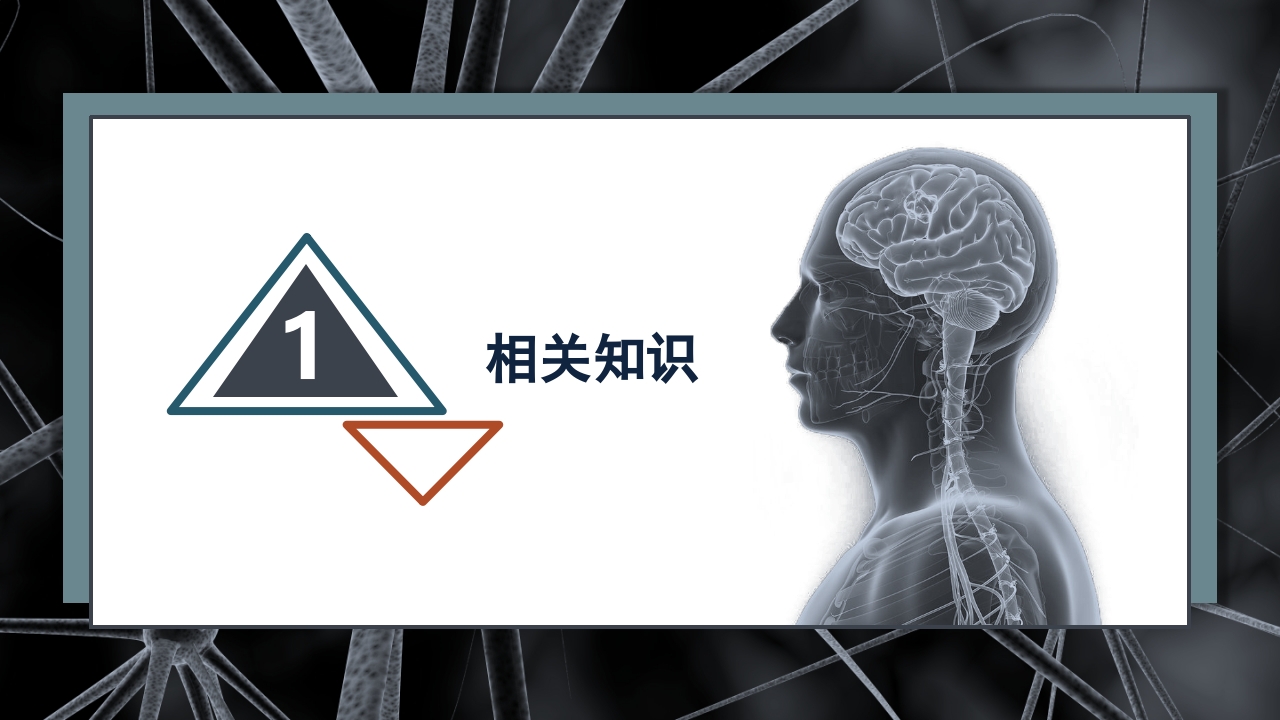继发性癫痫患者护理查房PPT课件3