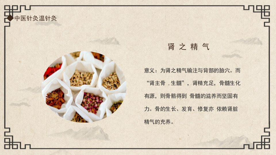 中国传统文化中医针灸温针灸PPT课件14