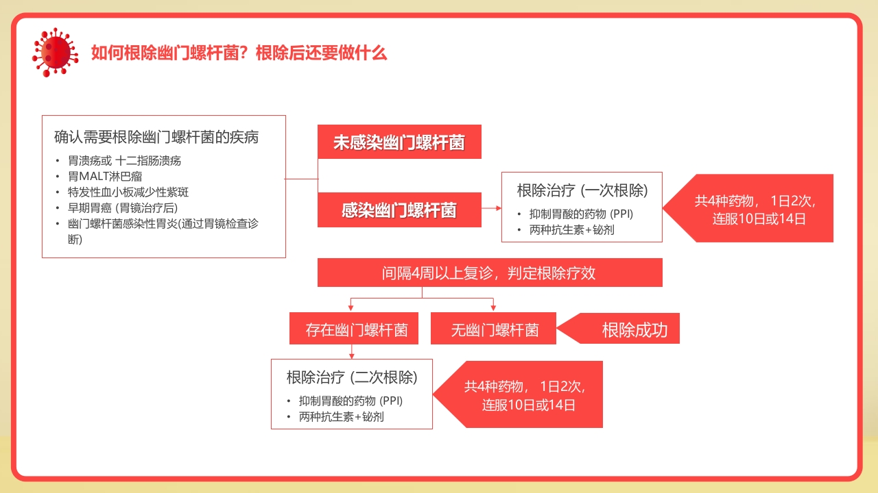 幽门螺旋杆菌科普知识PPT课件17