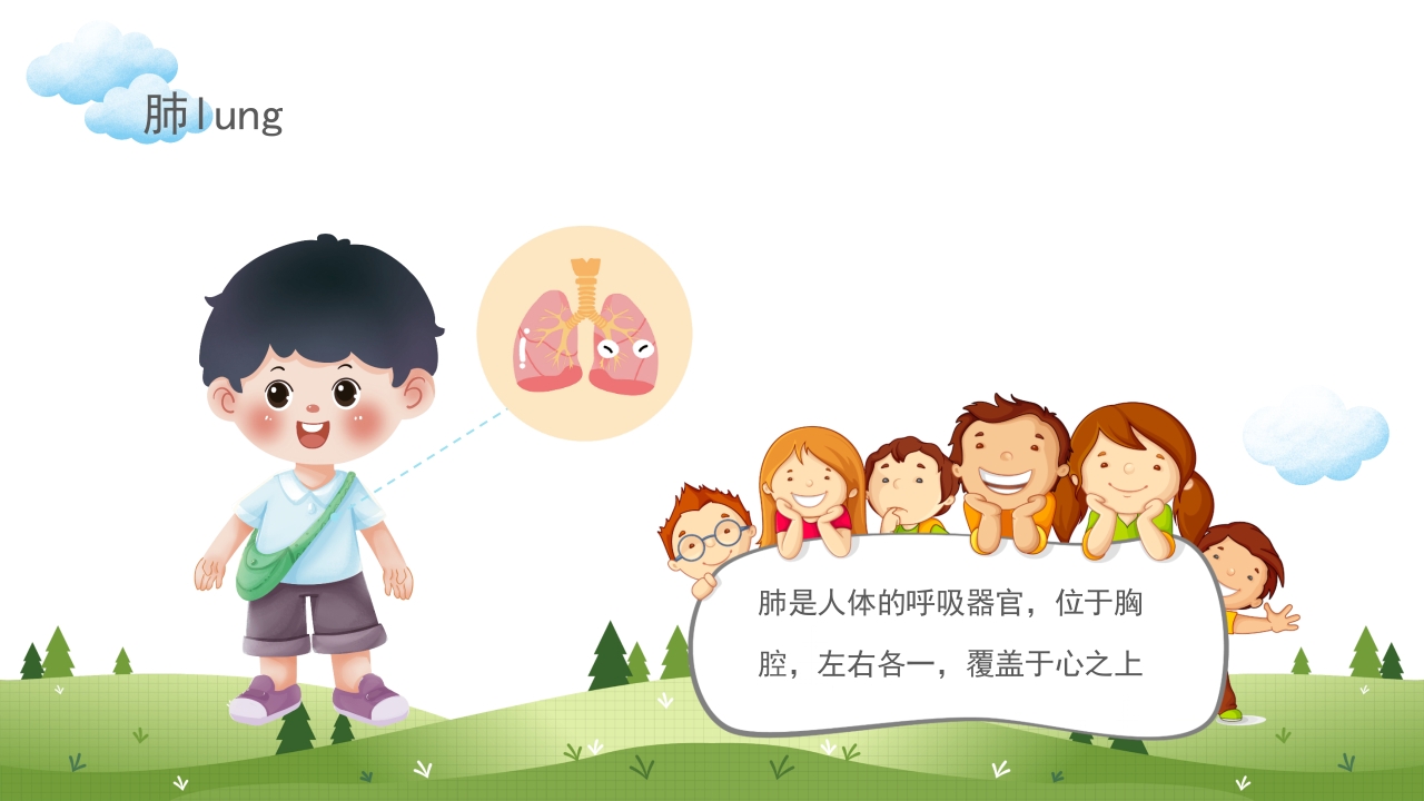 身体器官知多少幼儿园医学科普知识课件PPT课件10