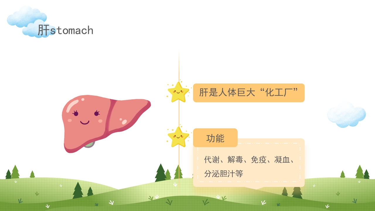 身体器官知多少幼儿园医学科普知识课件PPT课件11