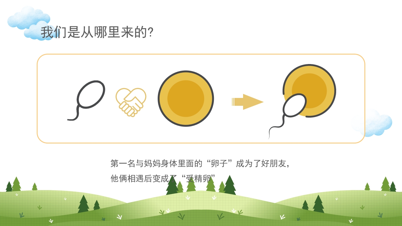 身体器官知多少幼儿园医学科普知识课件PPT课件16