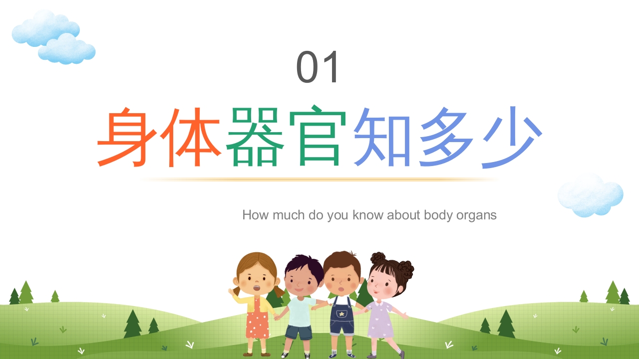 身体器官知多少幼儿园医学科普知识课件PPT课件3