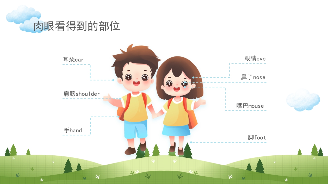 身体器官知多少幼儿园医学科普知识课件PPT课件5