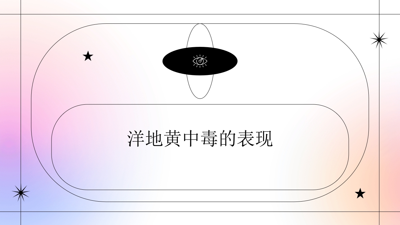 西地兰静推的注意事项及洋地黄中毒的表现PPT14