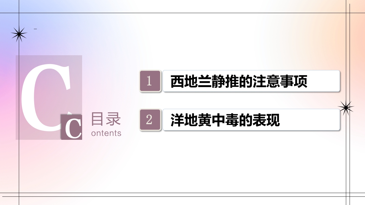 西地兰静推的注意事项及洋地黄中毒的表现PPT2