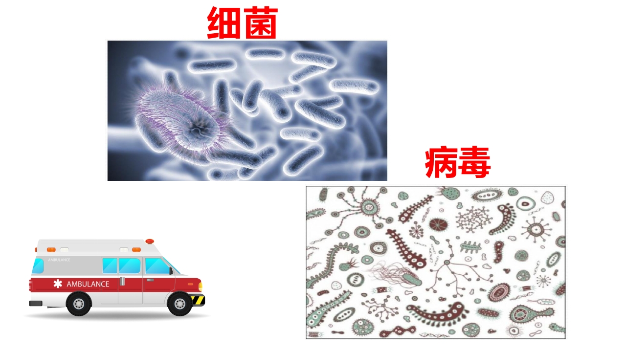 传染病预防知识讲座PPT课件3