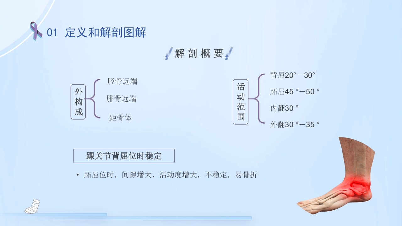 踝关节骨折护理查房护理PPT课件5