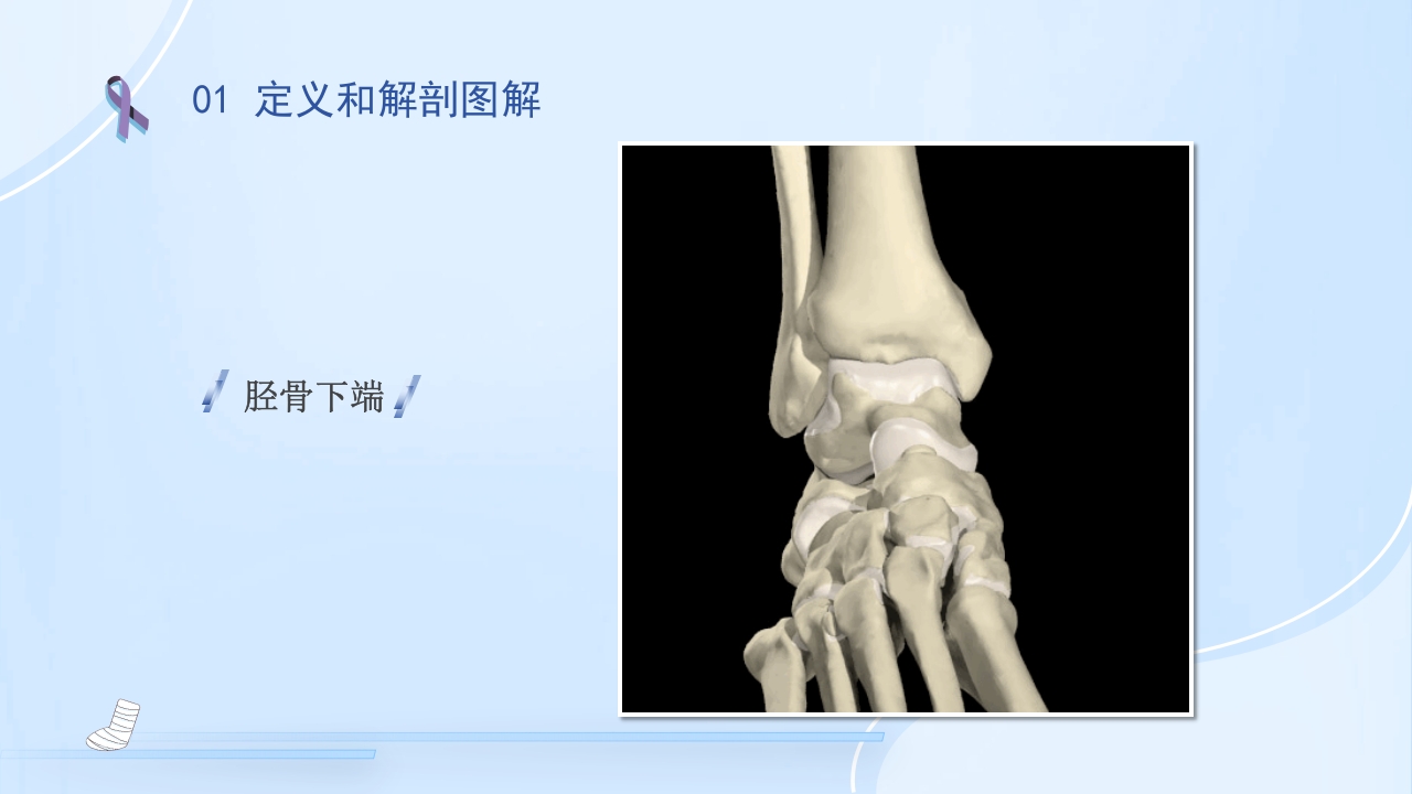 踝关节骨折护理查房护理PPT课件7