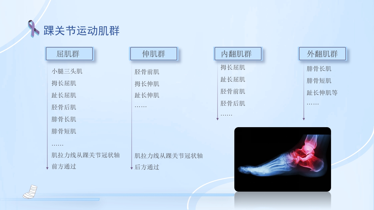踝关节骨折护理查房护理PPT课件8