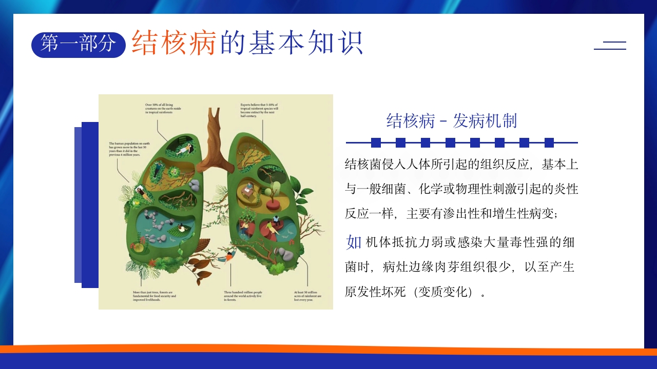 世界肺结核日预防肺结核主题班会PPT课件6