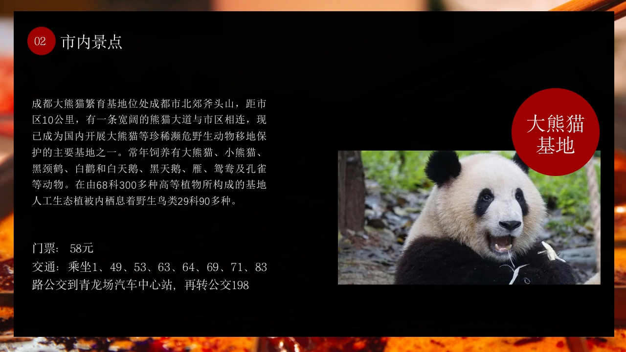 成都旅游旅行美食城市介绍PPT课件13