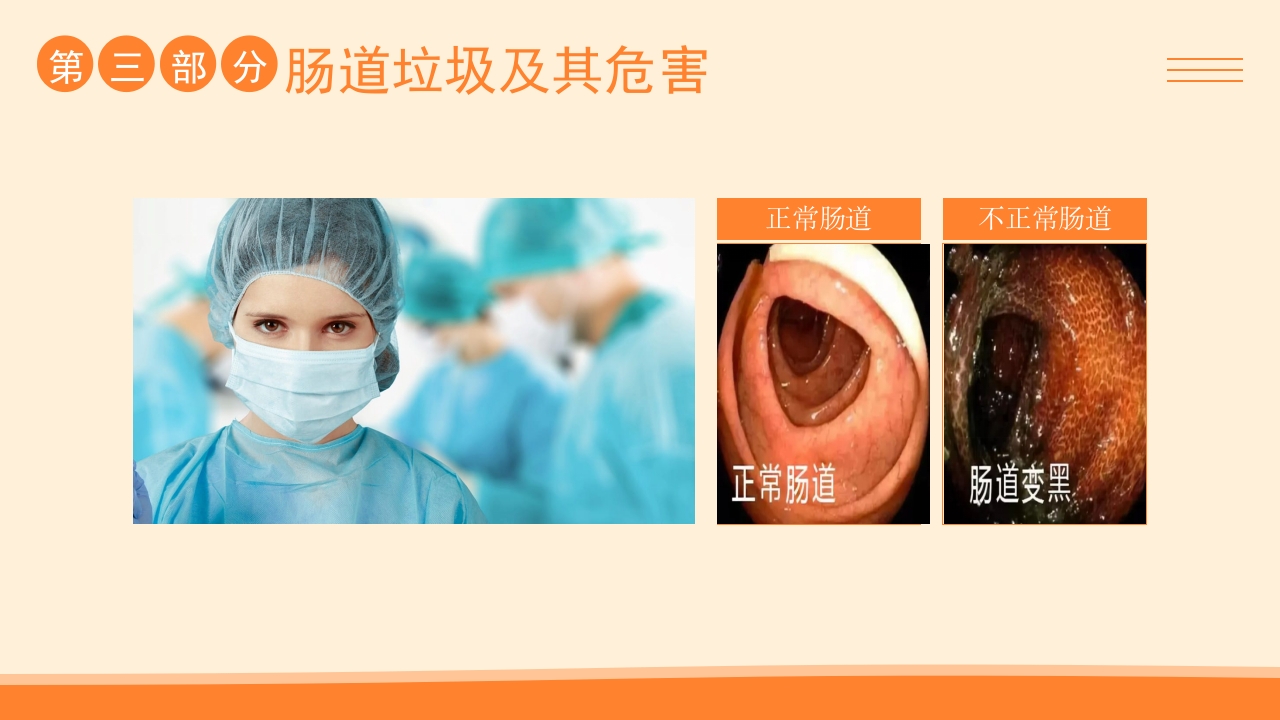 肠道健康管理PPT课件13