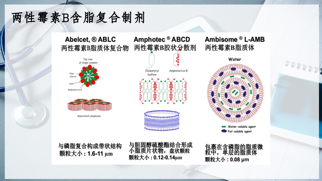 特殊使用级抗真菌药物PPT课件12