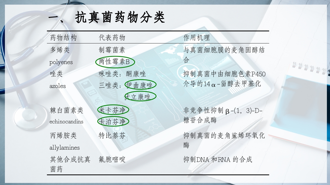 特殊使用级抗真菌药物PPT课件4