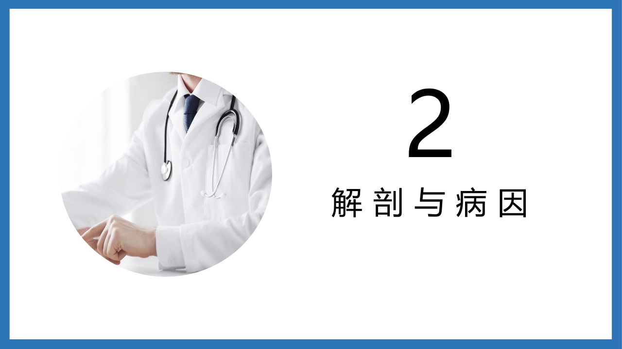 股骨颈骨折护理查房PPT课件8