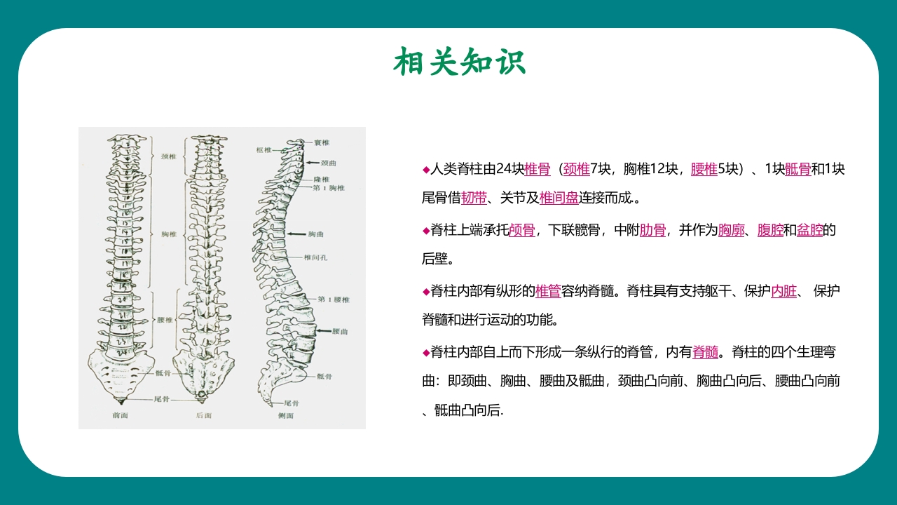 腰椎骨科护理查房PPT课件3