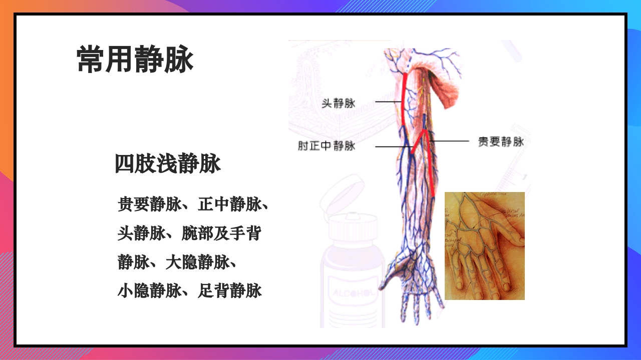 静脉输液和输血课件PPT下载98