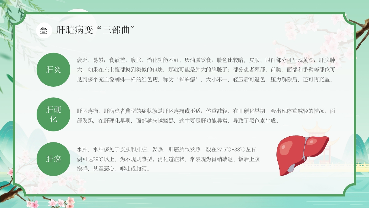 中国风春季中医养生春季养肝秘籍PPT课件14