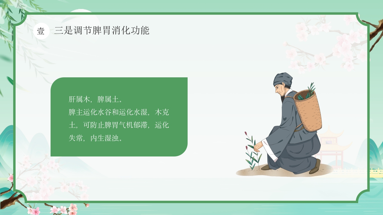 中国风春季中医养生春季养肝秘籍PPT课件7