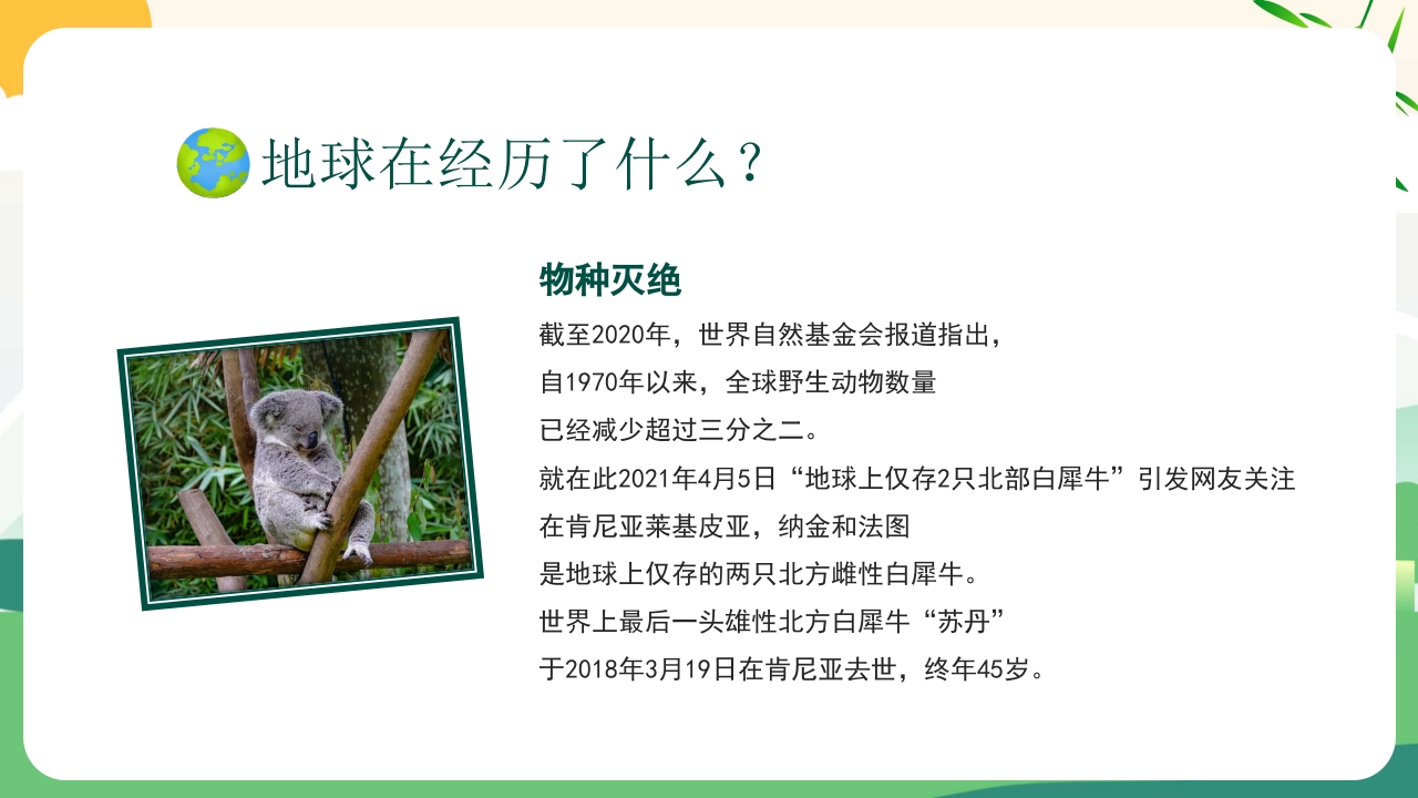 4月22日世界地球日PPT课件14