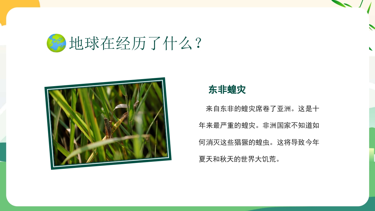 4月22日世界地球日PPT课件16