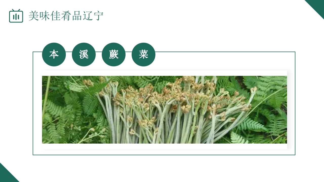 辽宁省旅游旅行介绍PPT课件24