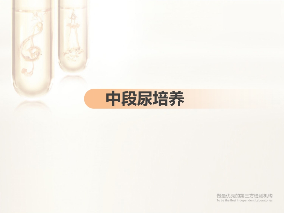 临床微生物标本采集与运送PPT课件27