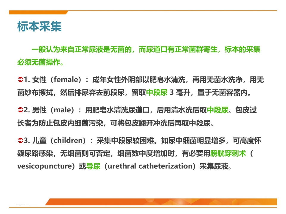 临床微生物标本采集与运送PPT课件29