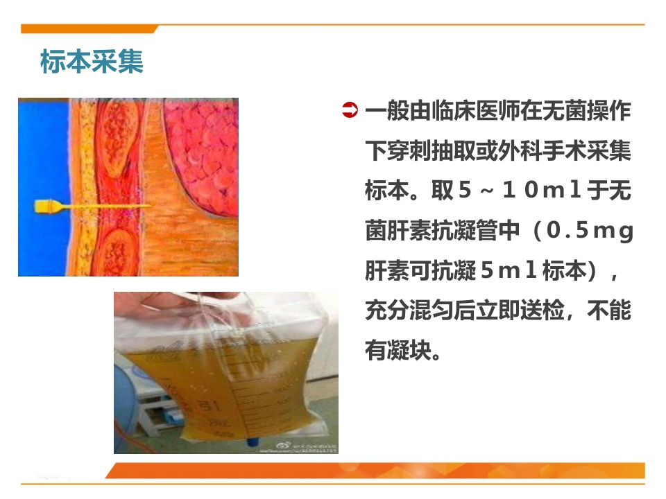 临床微生物标本采集与运送PPT课件39