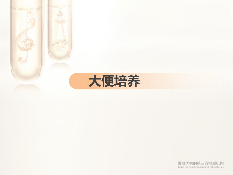 临床微生物标本采集与运送PPT课件40