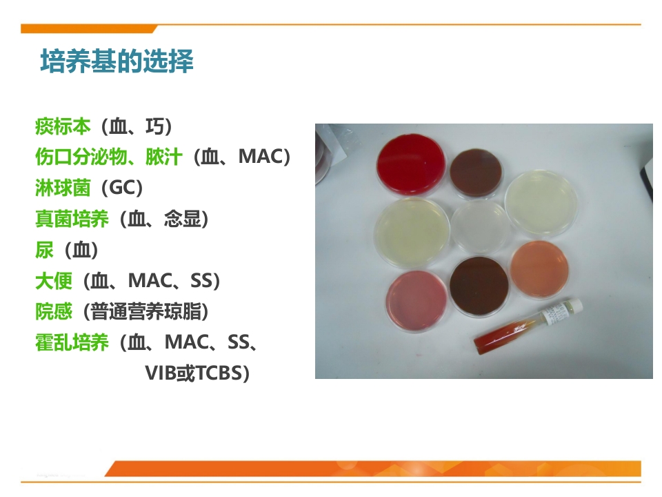 临床微生物标本采集与运送PPT课件55