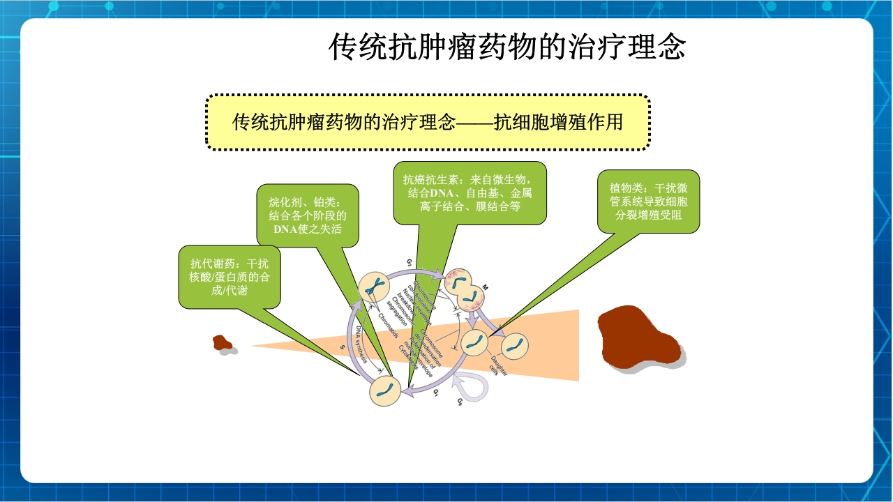 抗肿瘤靶向药物治疗及护理PPT课件23