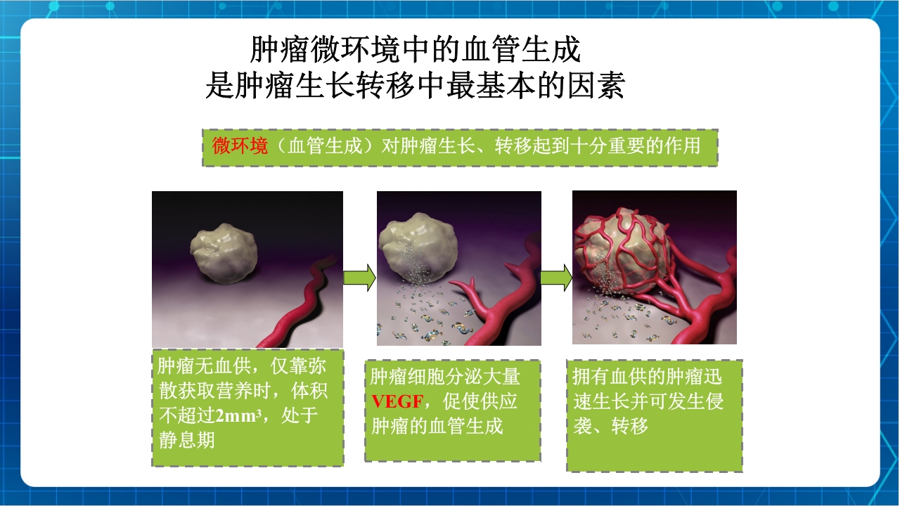 抗肿瘤靶向药物治疗及护理PPT课件25