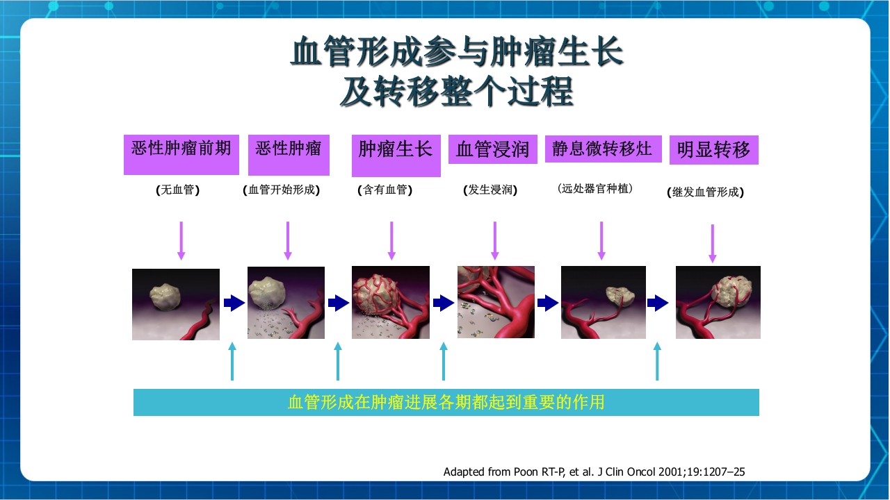 抗肿瘤靶向药物治疗及护理PPT课件26