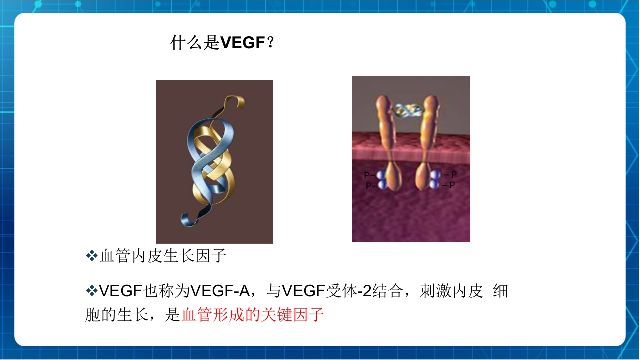 抗肿瘤靶向药物治疗及护理PPT课件27