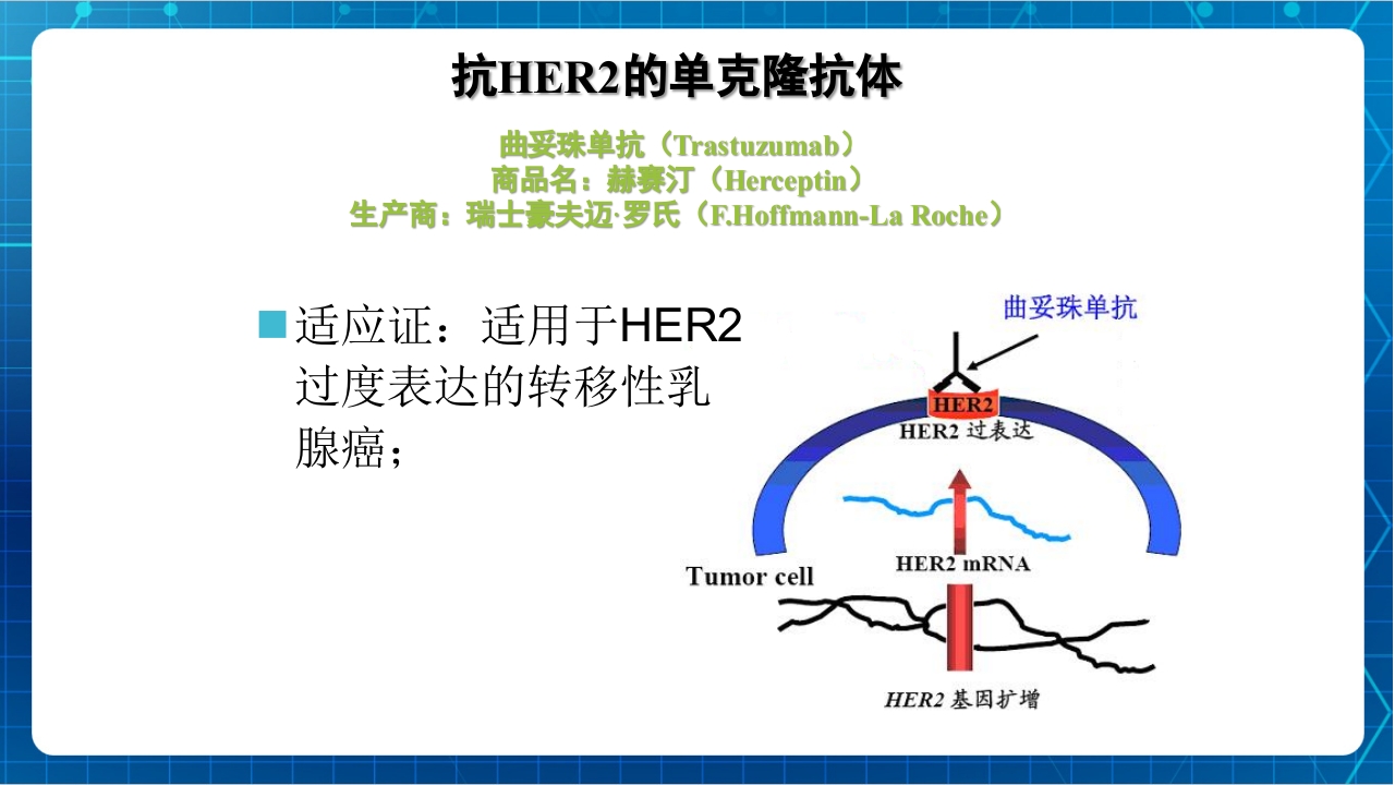 抗肿瘤靶向药物治疗及护理PPT课件38