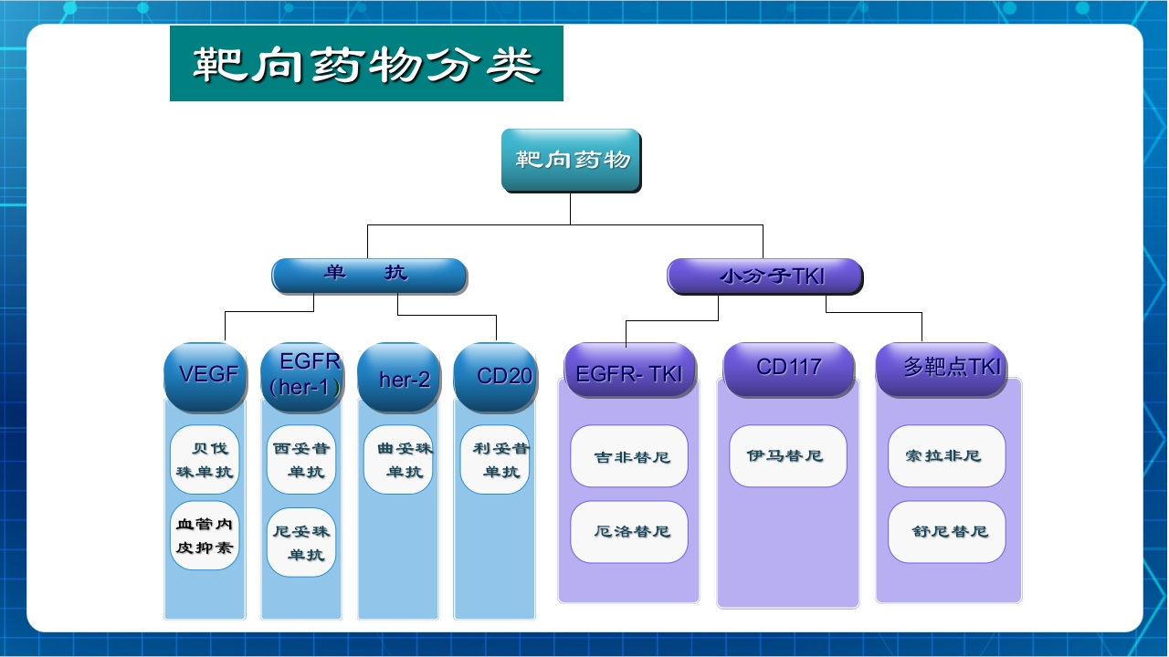 抗肿瘤靶向药物治疗及护理PPT课件9