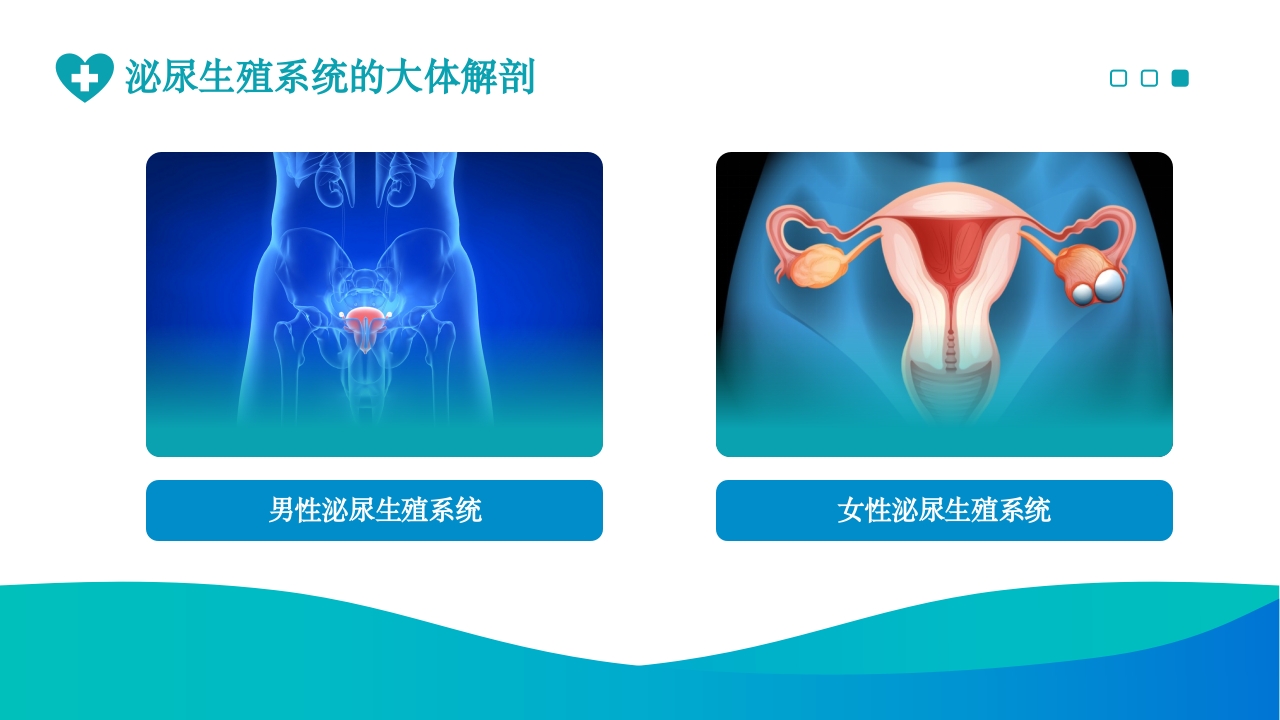 泌尿外科护理ppt课件3