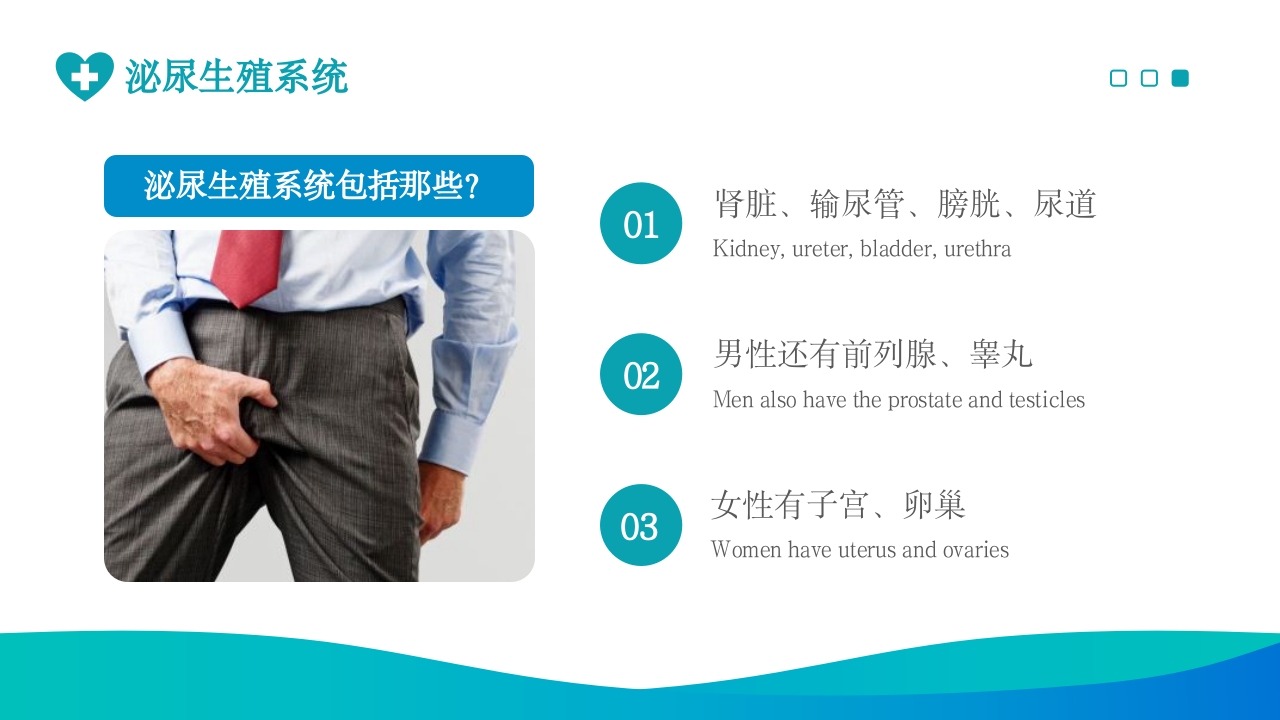 泌尿外科护理ppt课件6