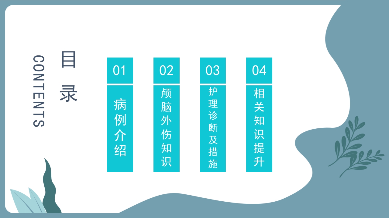 颅脑外伤护理查房PPT课件2