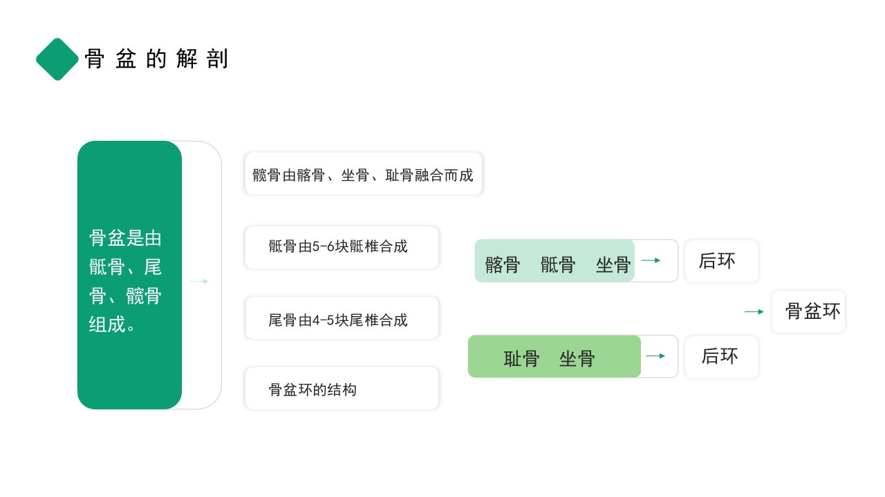 骨盆骨折护理查房PPT课件4