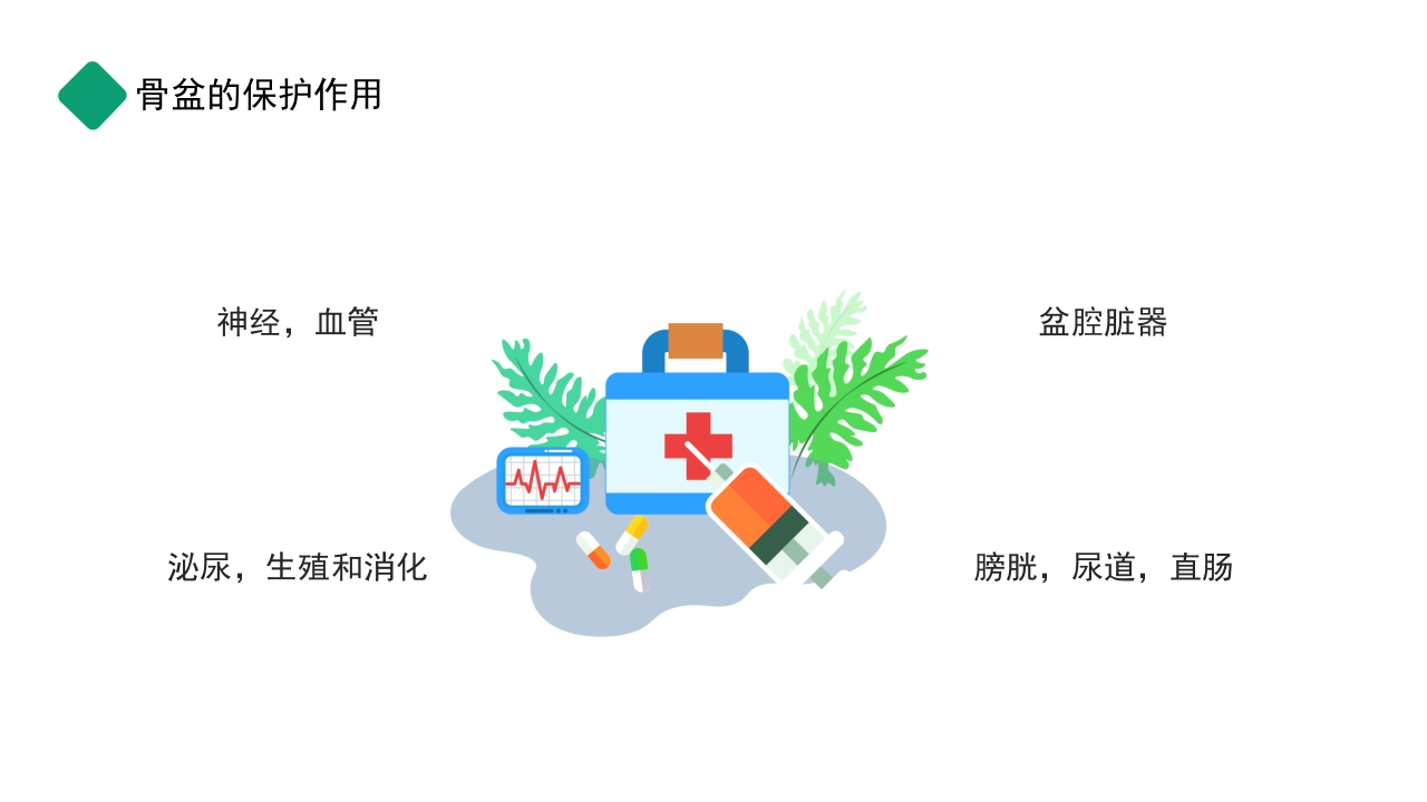 骨盆骨折护理查房PPT课件5
