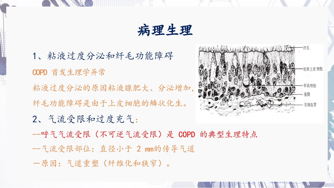 慢性阻塞性肺疾病急性加重（AECOPD）护理查房PPT14