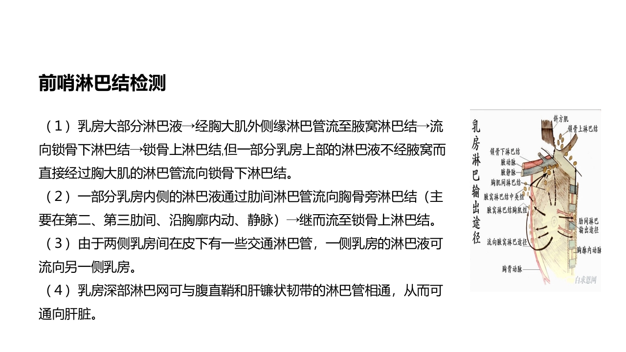 乳腺癌的护理PPT课件下载34