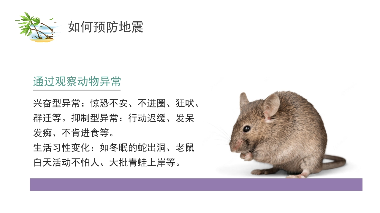 中学生地震安全教育ppt6